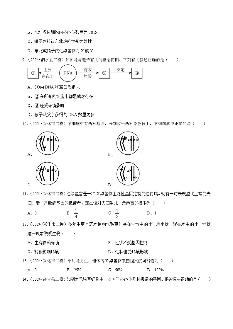 2025年中考生物三轮复习：遗传与变异 考点刷题练习题（含答案解析）第3页