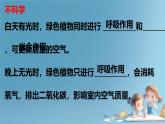 初中生物人教版（2024）七年級下冊（2024） 第三單元 植物的生活 第二章第三節(jié) 呼吸作用 課件