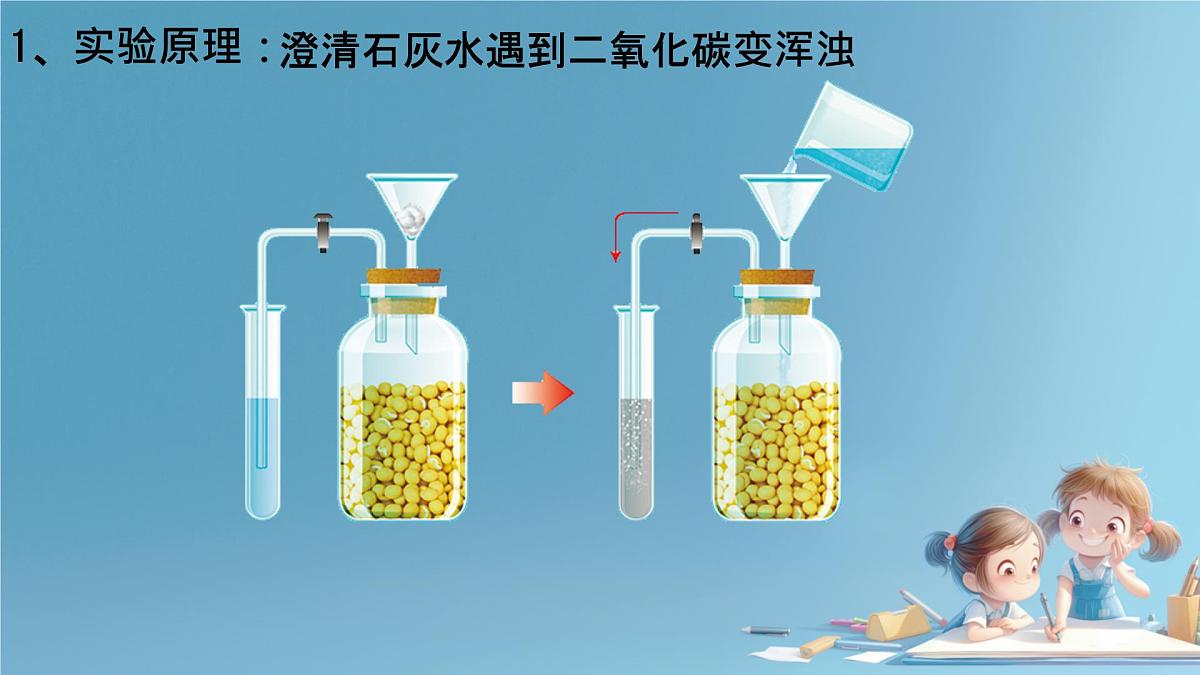 初中生物人教版（2024）七年级下册（2024） 第三单元 植物的生活 第二章第三节 呼吸作用 课件第7页