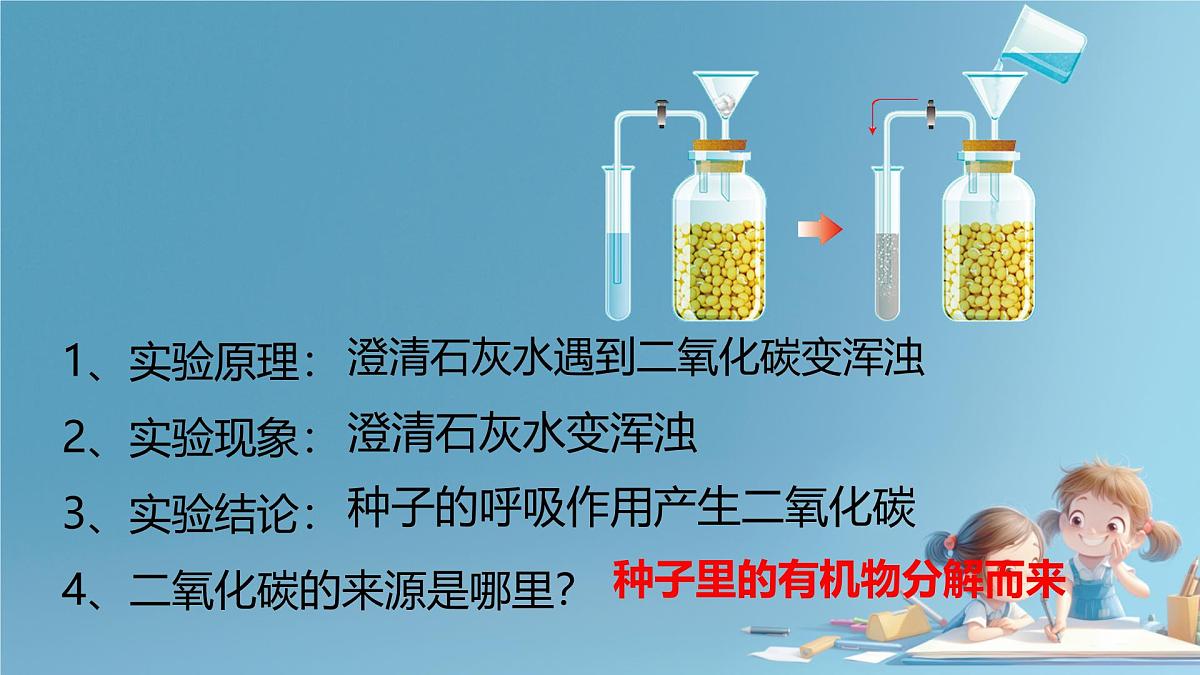 初中生物人教版（2024）七年级下册（2024） 第三单元 植物的生活 第二章第三节 呼吸作用 课件第8页