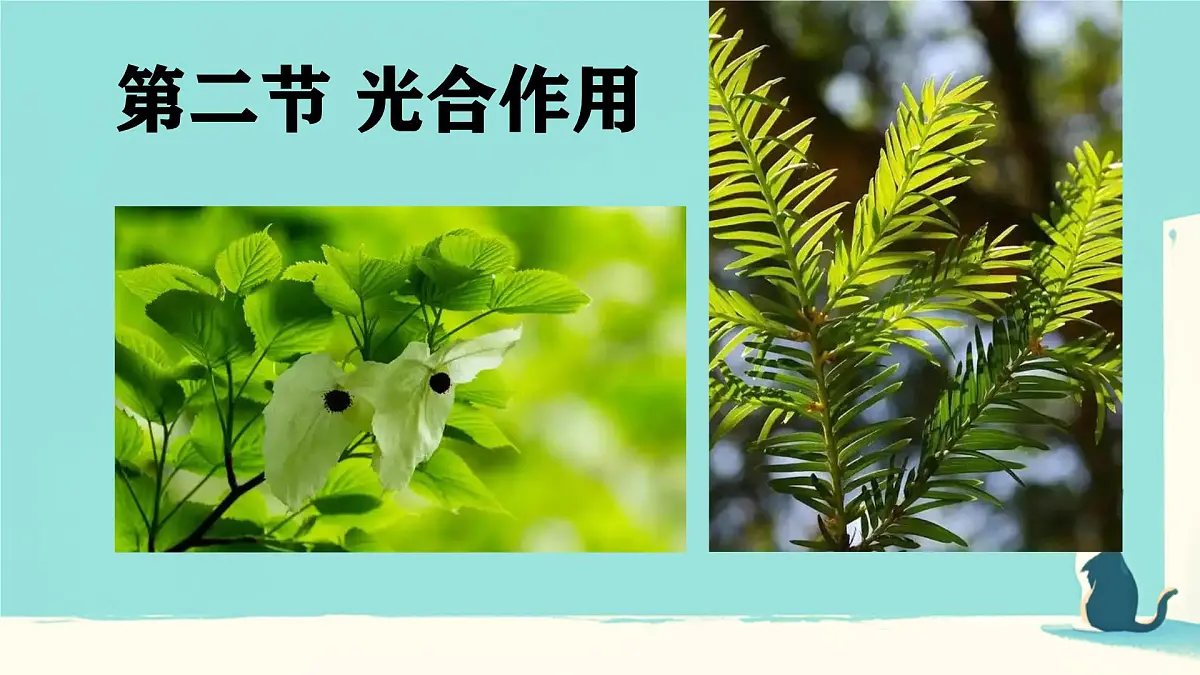 初中生物人教版（2024）七年级下册3.2.2 光合作用 课件第1页