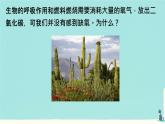 初中生物人教版（2024）七年級下冊3.2.2 光合作用 課件