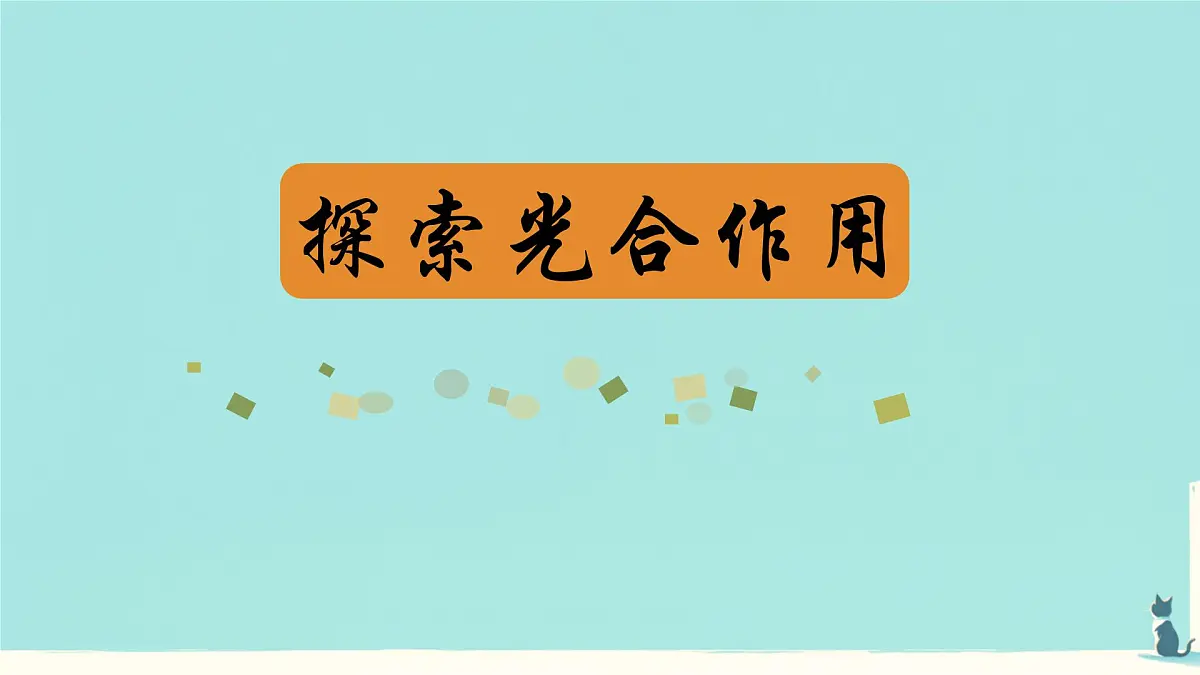 初中生物人教版（2024）七年级下册3.2.2 光合作用 课件第4页