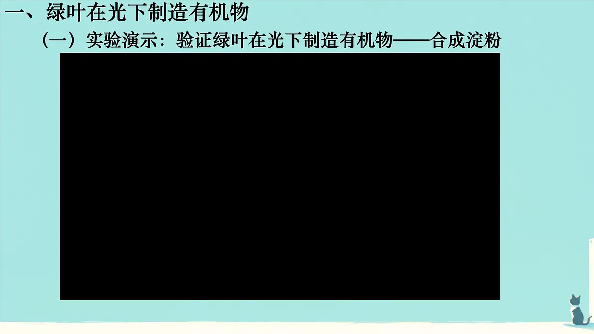 初中生物人教版（2024）七年级下册3.2.2 光合作用 课件第5页