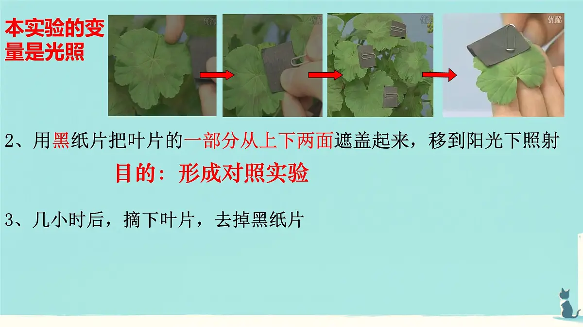 初中生物人教版（2024）七年级下册3.2.2 光合作用 课件第8页