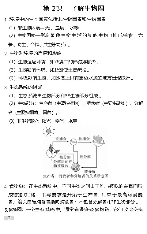 2025年人教版生物中考一轮复习背记考点提纲 学案第2页