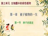 初中生物人教版（2024）七年級(jí)下冊(cè)3.1.1 種子的萌發(fā) 課件