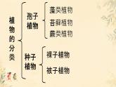 初中生物人教版（2024）七年級(jí)下冊(cè)3.1.1 種子的萌發(fā) 課件