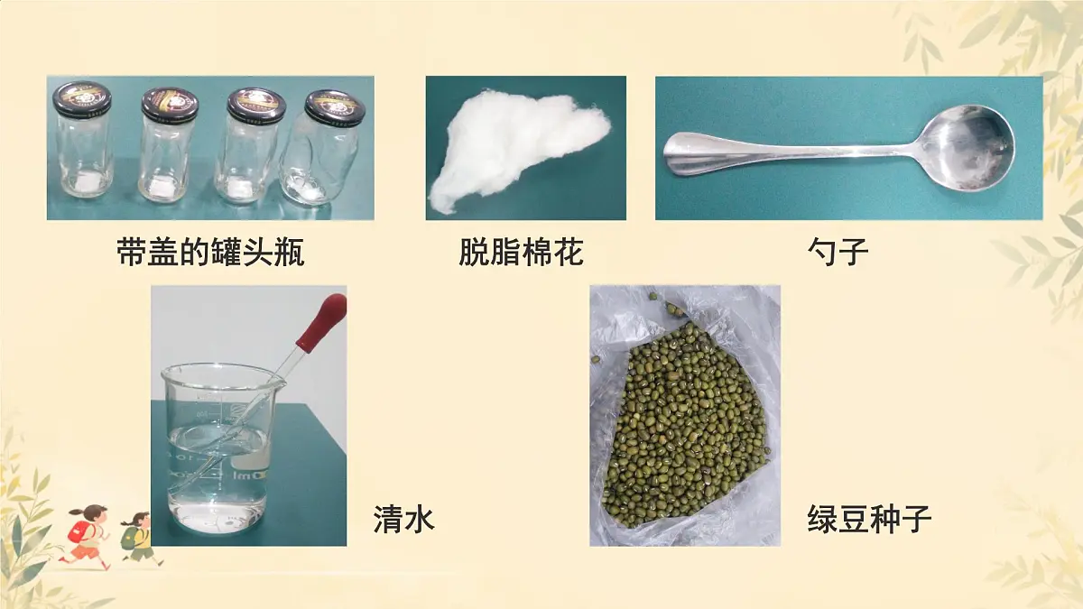 初中生物人教版（2024）七年级下册3.1.1 种子的萌发 课件第7页