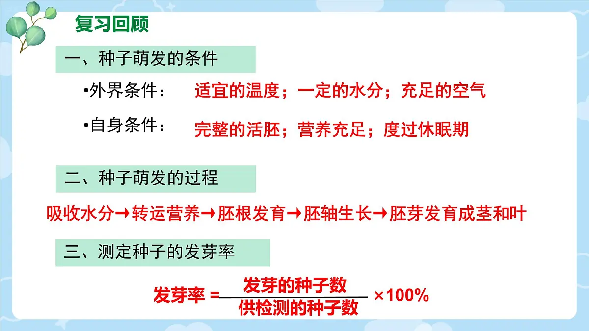 初中生物人教版（2024）七年级下册3.1.2 植株的生长 课件第2页