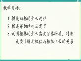 初中生物人教版（2024）七年級(jí)下冊(cè)3.1.2 植株的生長(zhǎng) 課件