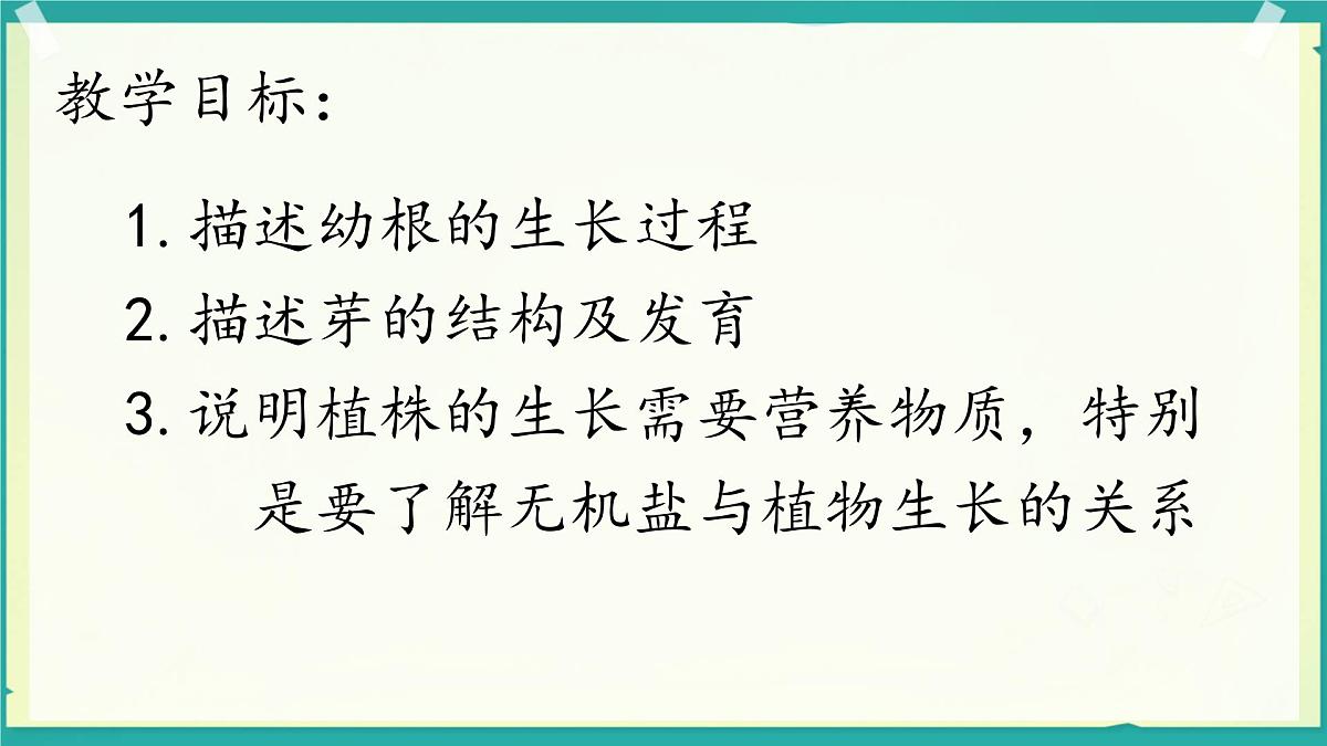 初中生物人教版（2024）七年级下册3.1.2 植株的生长 课件第2页