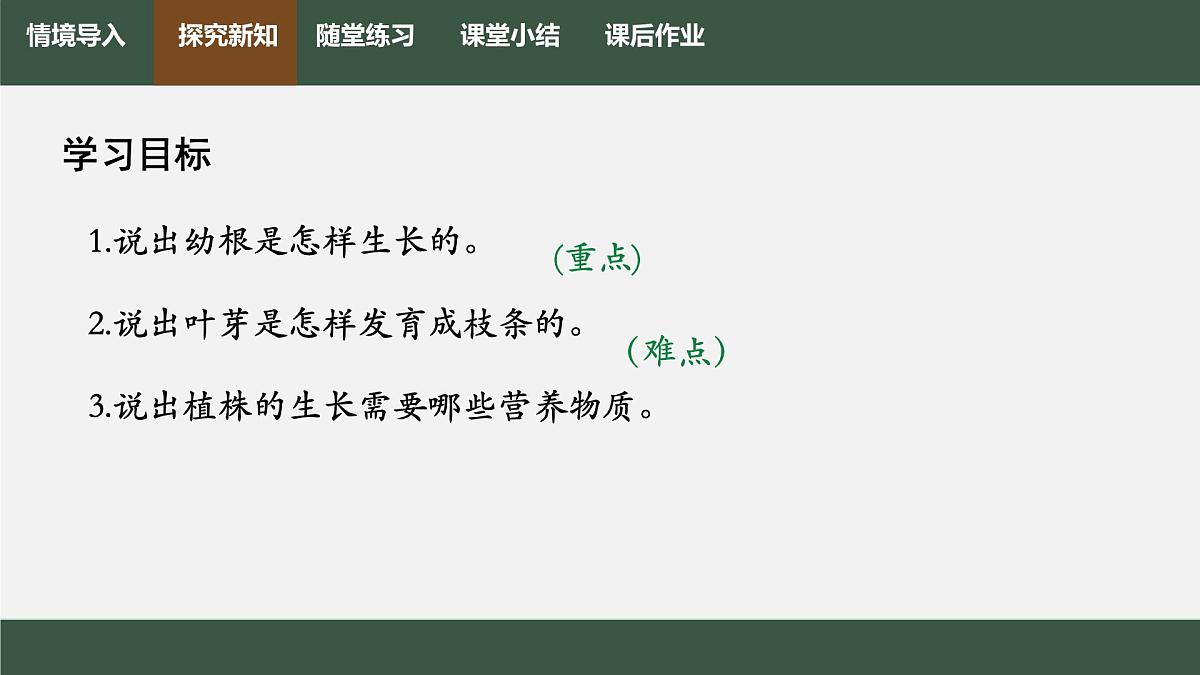 初中生物人教版（2024）七年级下册3.1.2 植株的生长 课件第2页