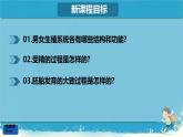 初中生物人教版（2024）七年級(jí)下冊(cè)4.1.1 人的生殖 課件