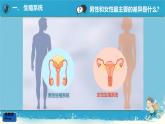 初中生物人教版（2024）七年級(jí)下冊(cè)4.1.1 人的生殖 課件