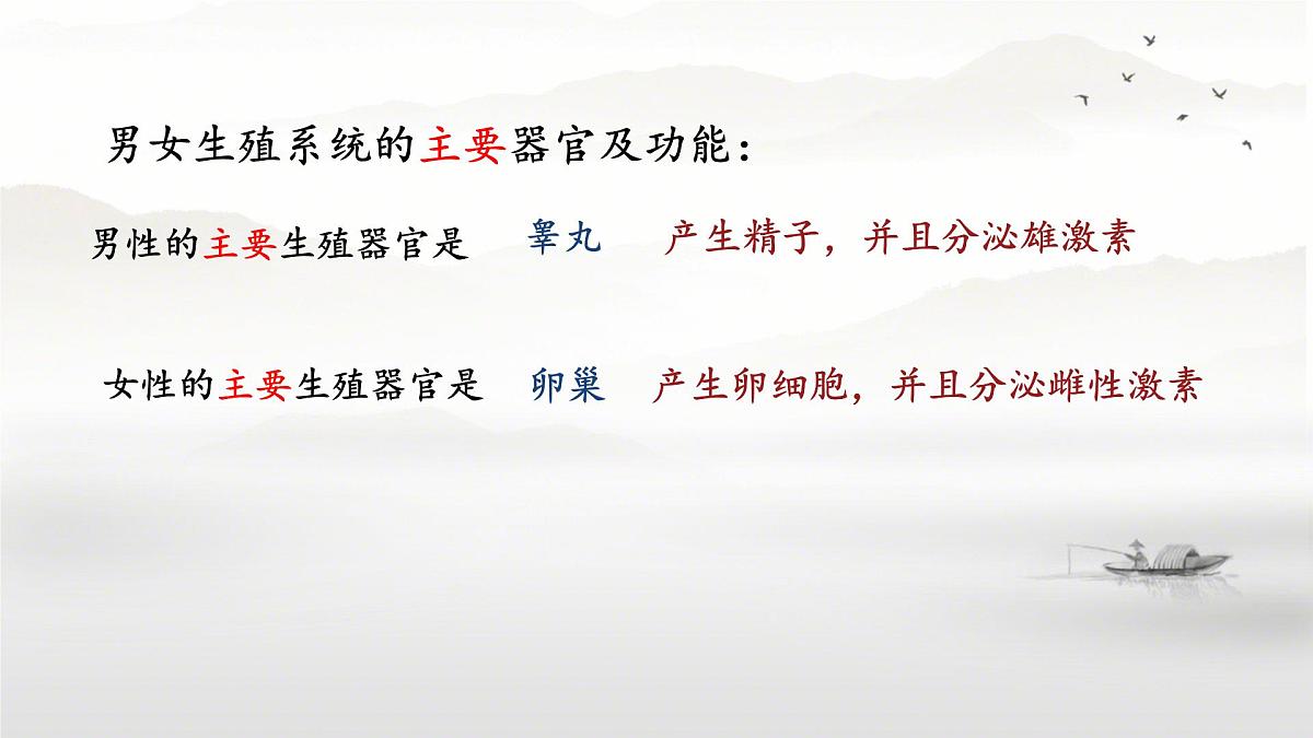 初中生物人教版（2024）七年级下册4.1.1 人的生殖 课件第4页