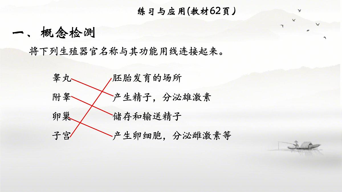 初中生物人教版（2024）七年级下册4.1.1 人的生殖 课件第6页