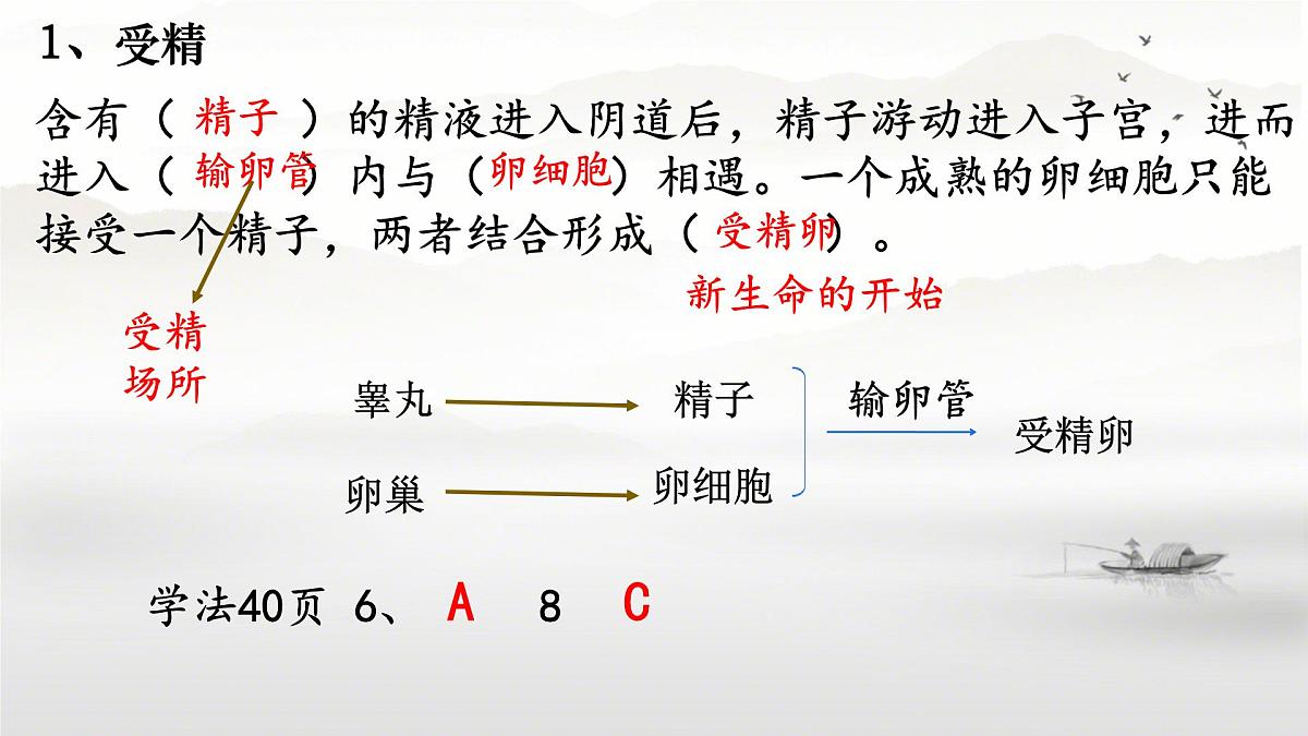 初中生物人教版（2024）七年级下册4.1.1 人的生殖 课件第8页