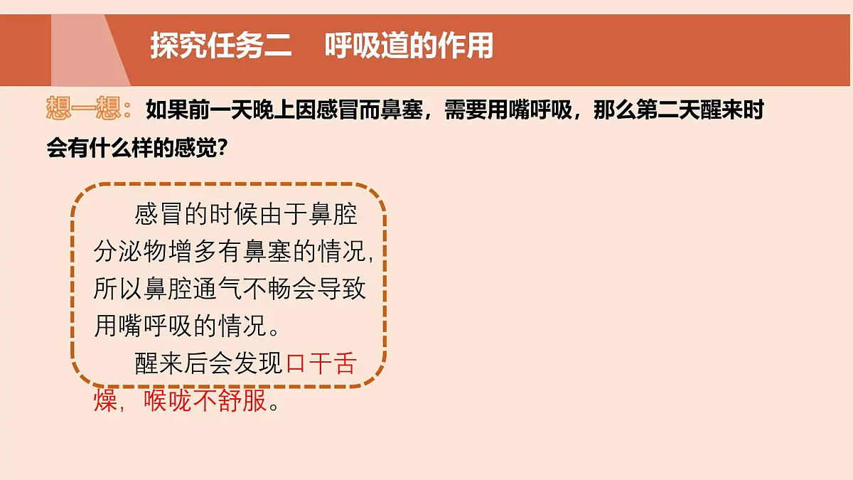 初中生物人教版（2024）七年级下册4.3.1 呼吸道对空气的处理 课件第5页