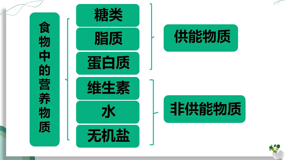 初中生物人教版（2024）七年级下册4.2.1 食物中的营养物质 课件第4页