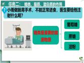 初中生物人教版（2024）七年級下冊4.2.1 食物中的營養(yǎng)物質(zhì) 課件
