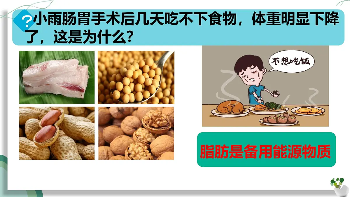 初中生物人教版（2024）七年级下册4.2.1 食物中的营养物质 课件第6页