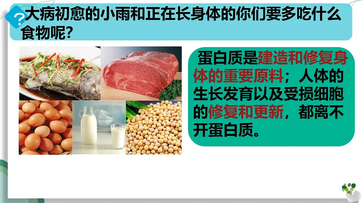初中生物人教版（2024）七年级下册4.2.1 食物中的营养物质 课件第7页
