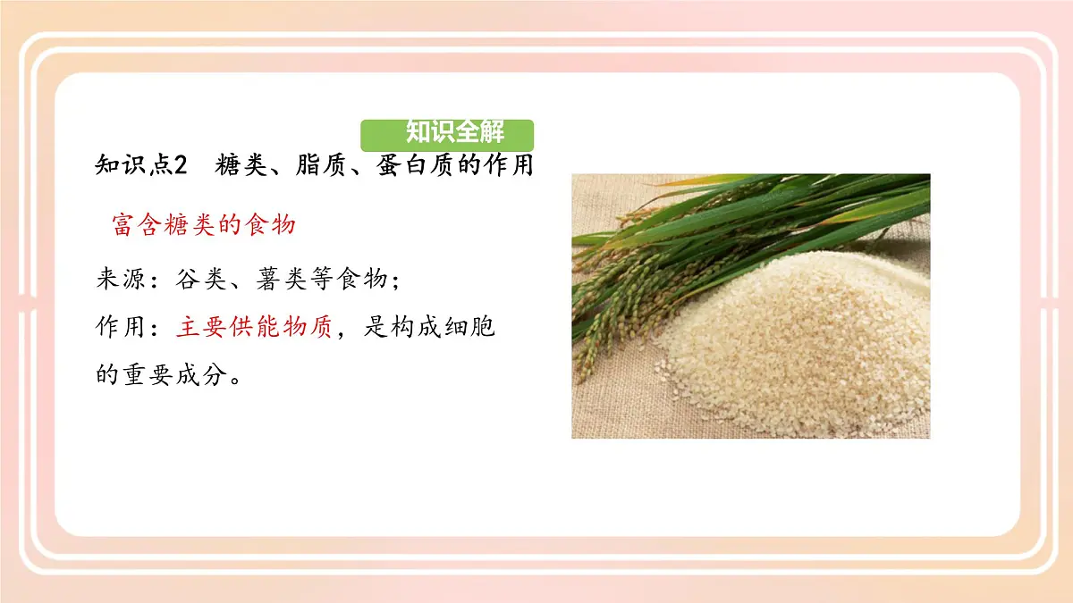 初中生物人教版（2024）七年级下册4.2.1 食物中的营养物质 课件第7页