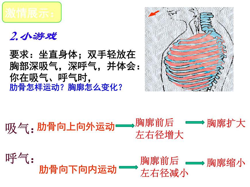 初中生物人教版（2024）七年级下册4.3.2 发生在肺内的气体交换 课件第6页
