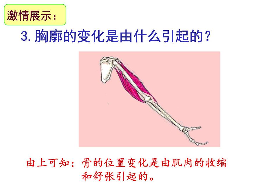 初中生物人教版（2024）七年级下册4.3.2 发生在肺内的气体交换 课件第7页