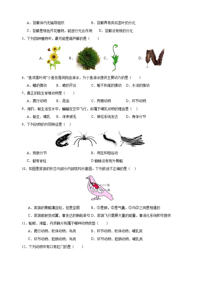 2024-2025学年七年级生物下学期期中模拟试卷（苏科版+含答案解析）第2页