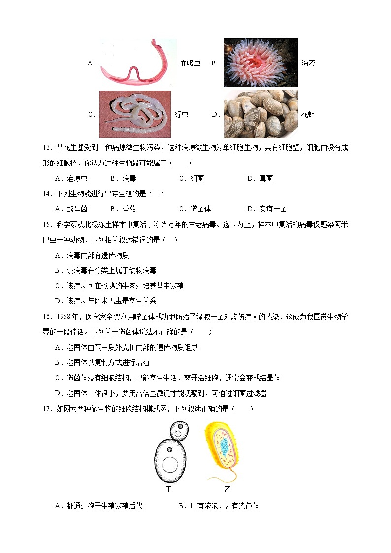 2024-2025学年七年级生物下学期期中模拟试卷（苏科版+含答案解析）第3页