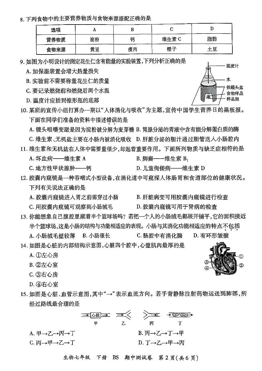 广东省湛江市部分学校2024-2025学年七年级下生物期中试卷第2页