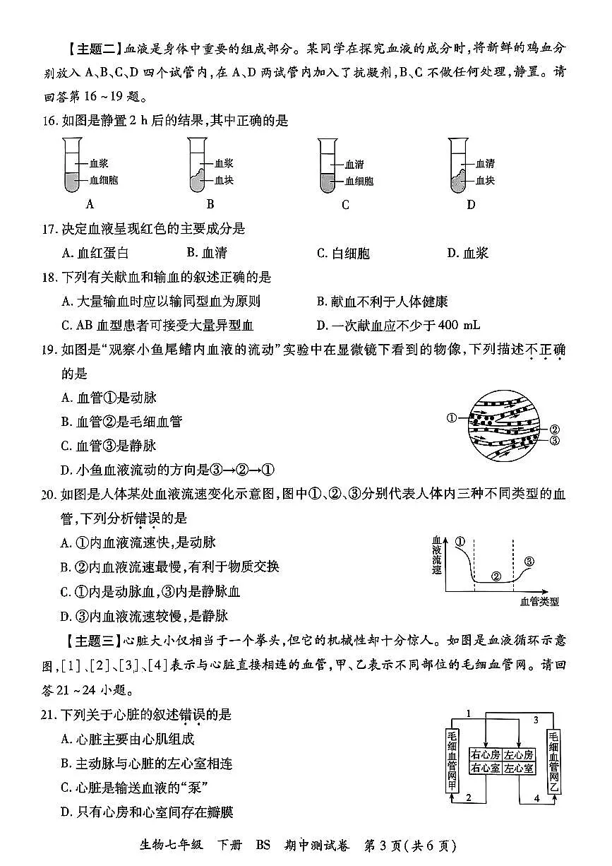 广东省湛江市部分学校2024-2025学年七年级下生物期中试卷第3页