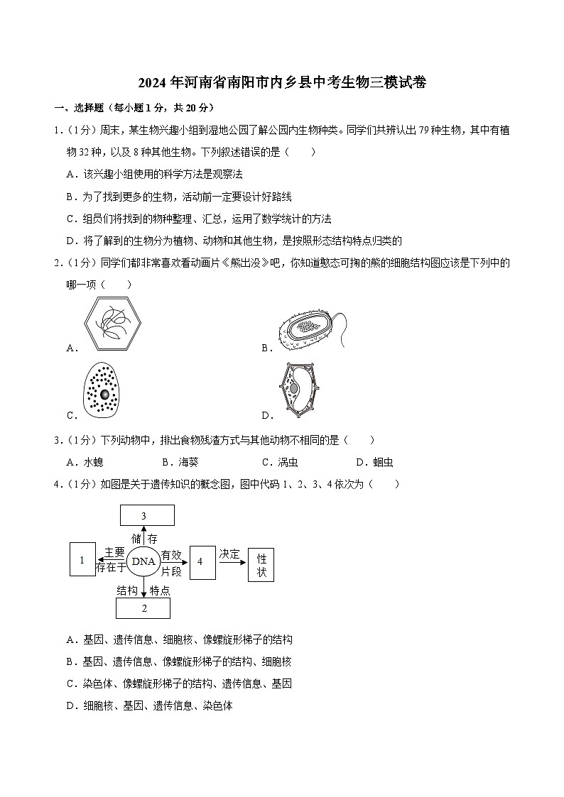2024年河南省南阳市内乡县中考三模生物试卷第1页
