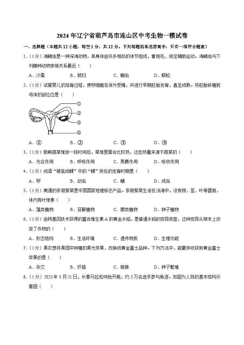 2024年辽宁省葫芦岛市连山区中考一模生物试卷第1页