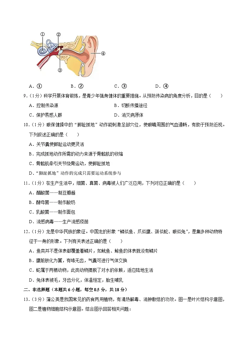 2024年辽宁省葫芦岛市连山区中考一模生物试卷第2页