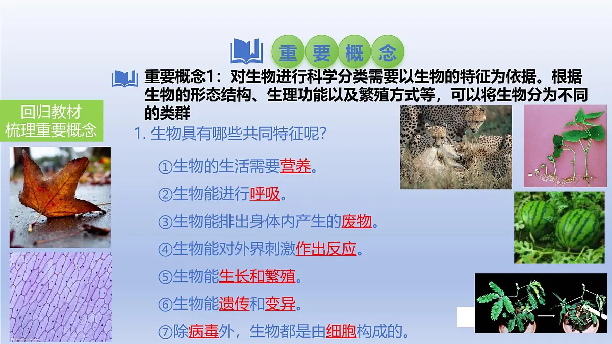 2025年初中生物会考一轮复习课件：第1讲 生物及生物与环境的关系第4页