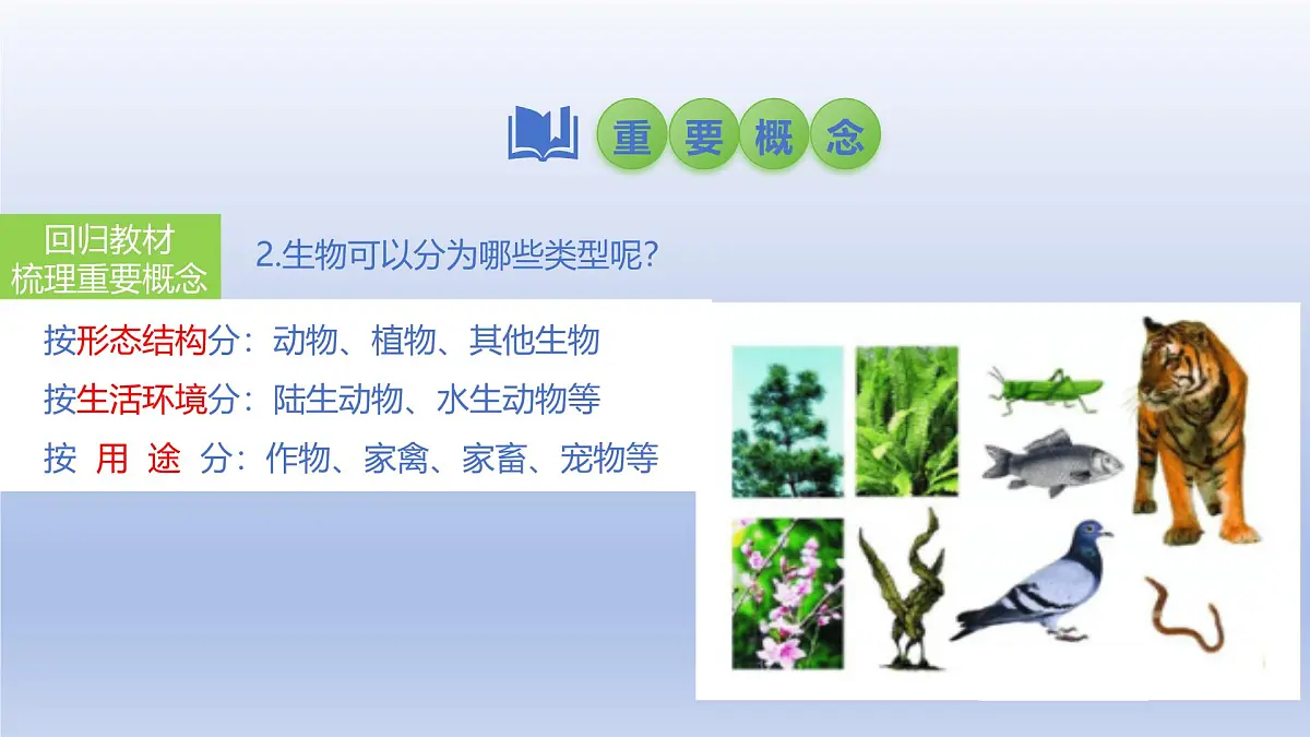 2025年初中生物会考一轮复习课件：第1讲 生物及生物与环境的关系第5页
