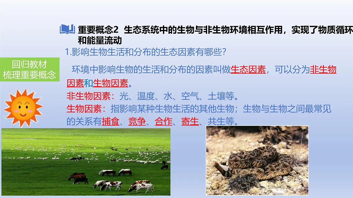 2025年初中生物会考一轮复习课件：第1讲 生物及生物与环境的关系第6页