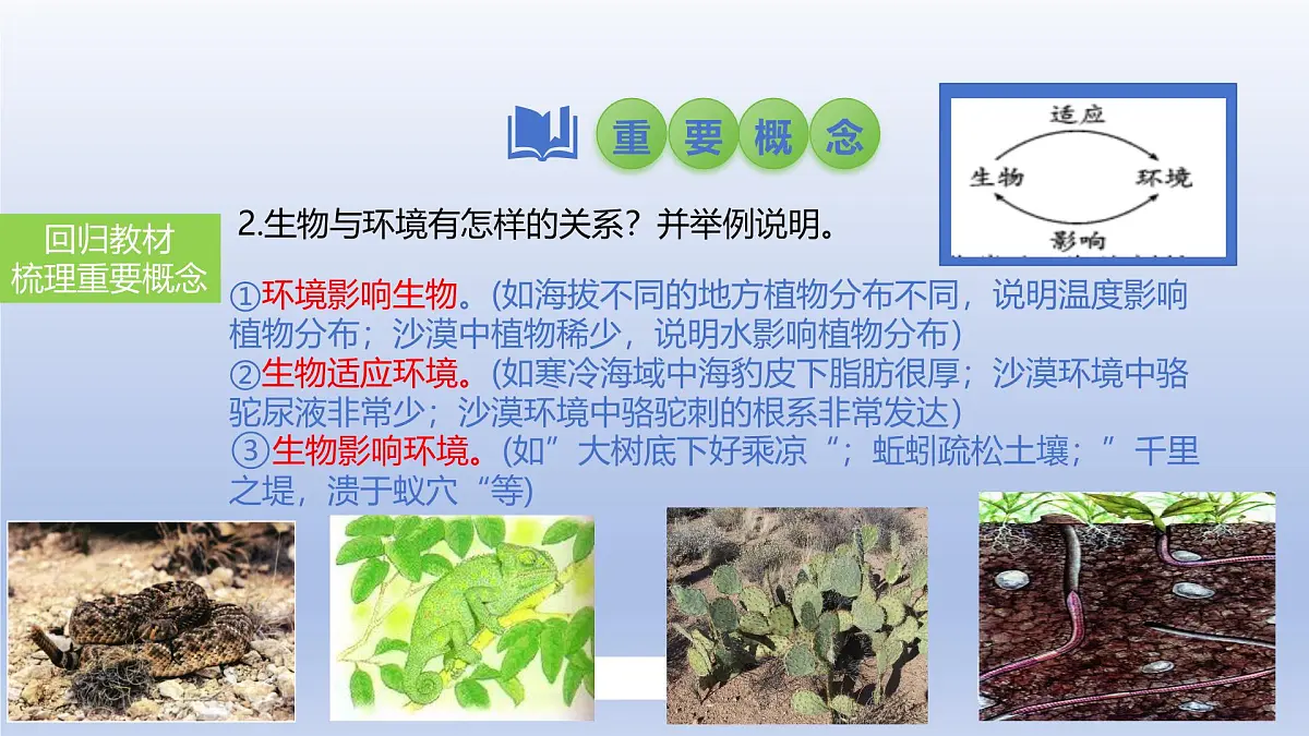 2025年初中生物会考一轮复习课件：第1讲 生物及生物与环境的关系第7页