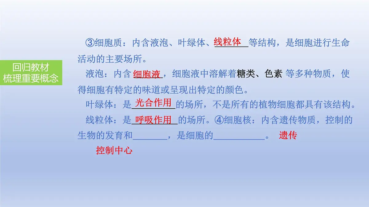 2025年初中生物会考一轮复习课件：第4讲 细胞的结构及功能、细胞的生活第6页