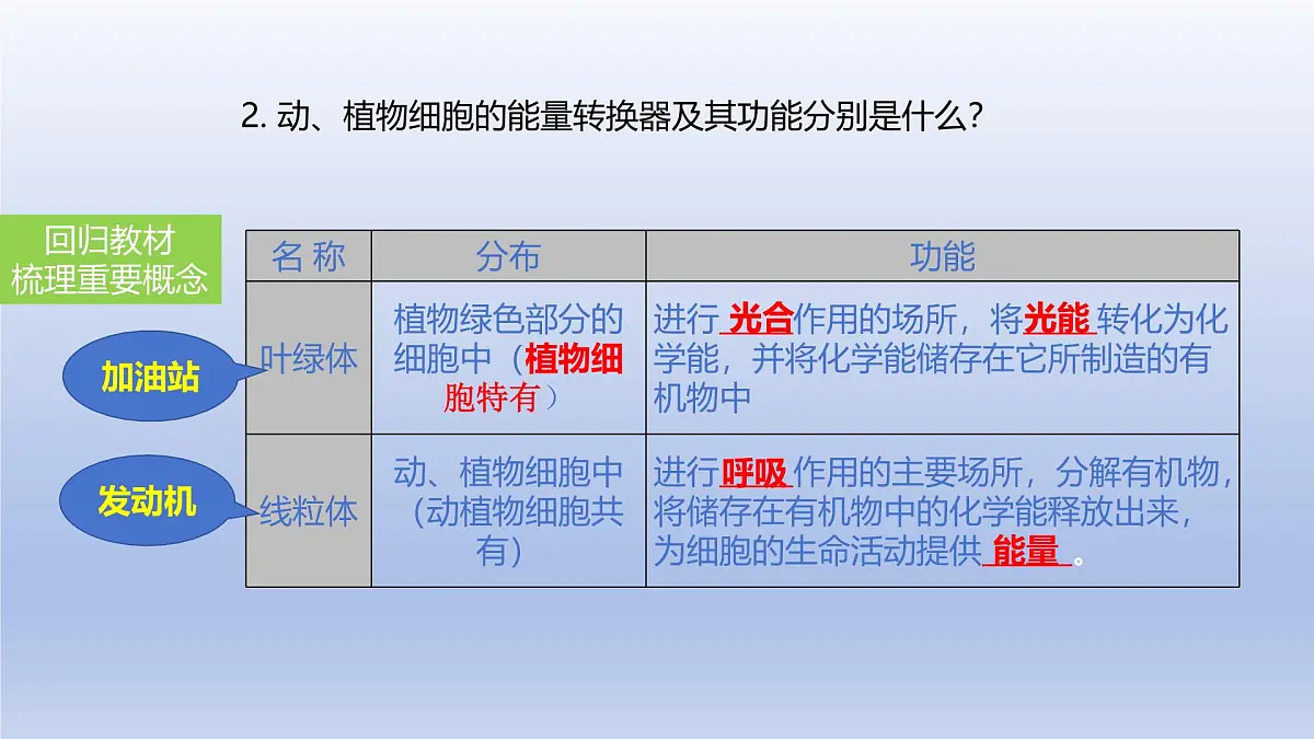2025年初中生物会考一轮复习课件：第4讲 细胞的结构及功能、细胞的生活第8页