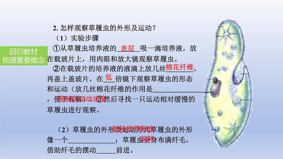 2025年初中生物会考一轮复习课件：第5讲 生物体的结构层次第7页