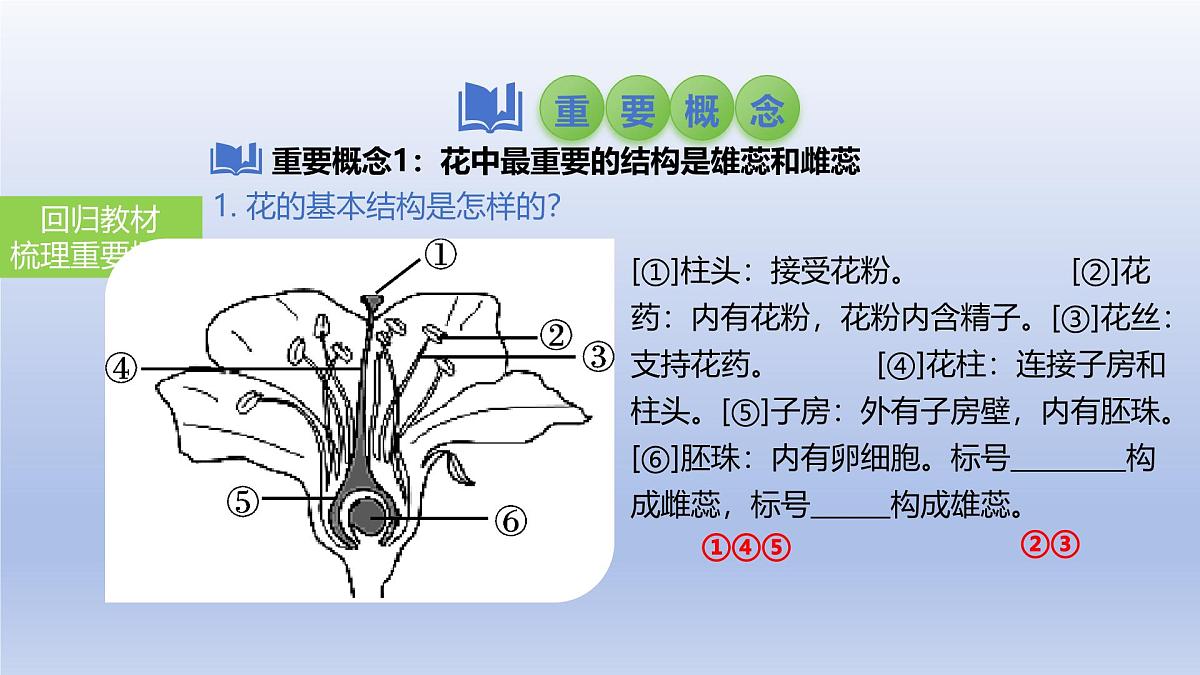 2025年初中生物会考一轮复习课件：第8讲 被子植物的开花和结果第3页