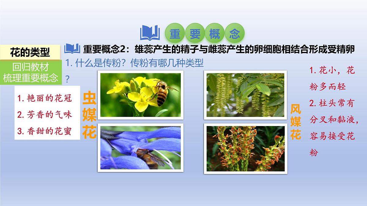 2025年初中生物会考一轮复习课件：第8讲 被子植物的开花和结果第5页
