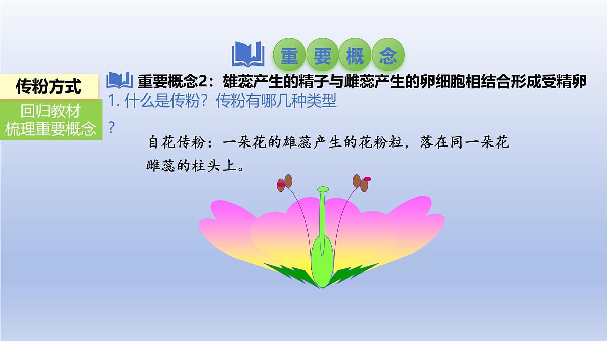 2025年初中生物会考一轮复习课件：第8讲 被子植物的开花和结果第6页