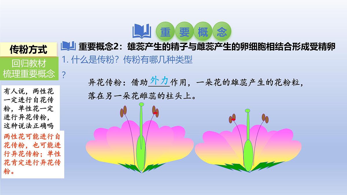 2025年初中生物会考一轮复习课件：第8讲 被子植物的开花和结果第7页