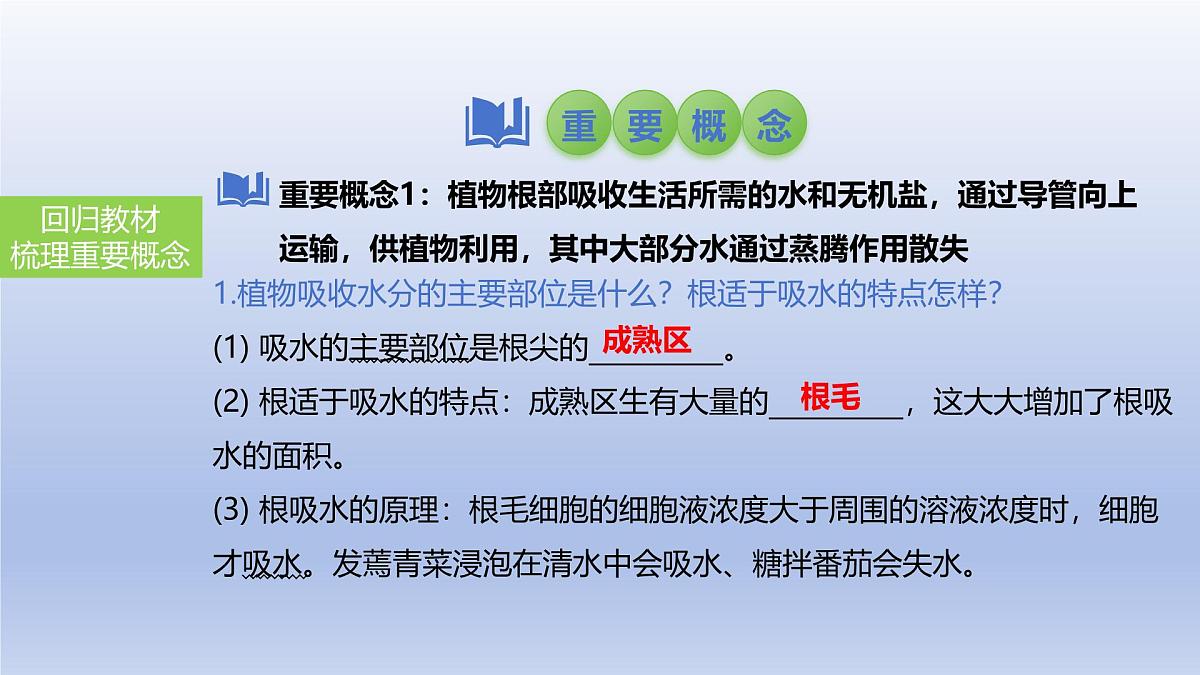 2025年初中生物会考一轮复习课件：第9讲 绿色植物与生物圈的水循环第3页