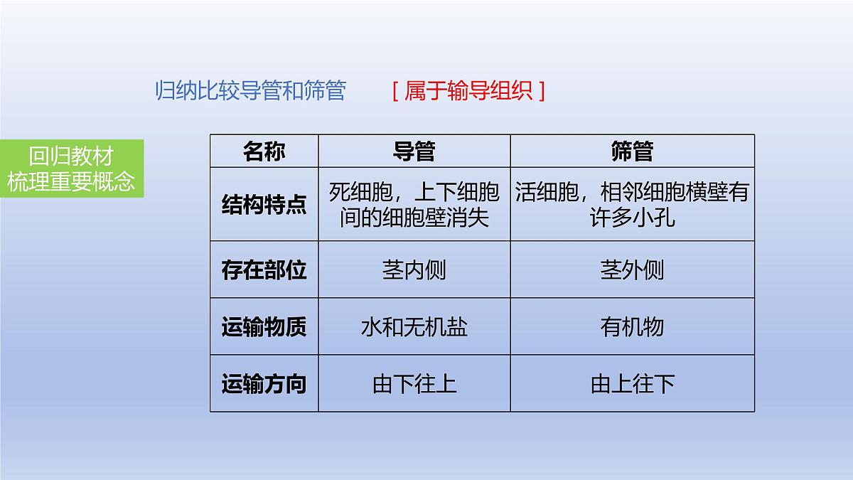 2025年初中生物会考一轮复习课件：第9讲 绿色植物与生物圈的水循环第6页